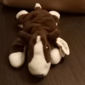 Beanie BABY